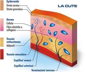 540_293_resize_20130701_46ef16b44e7c73d343863ea52c2ed08b_jpg