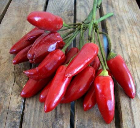 4bc8f00ce1eead1c15bb999ad1d098bd