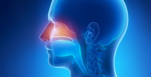 screen_nasochiuso_trattamenti_topici_3-858x442_c