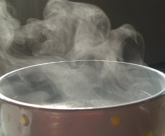 sinusite-rimedi-naturali_324x268