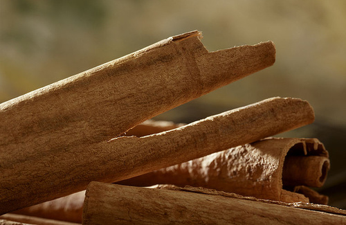 3283-la-cannella-laroma-che-riscalda-il-cuore